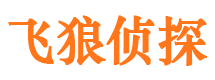 融安婚外情取证